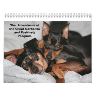 Zwergpinscher! Kalender