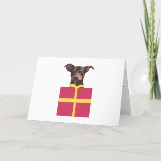 Zwergpinscher-Kasten Feiertagskarte