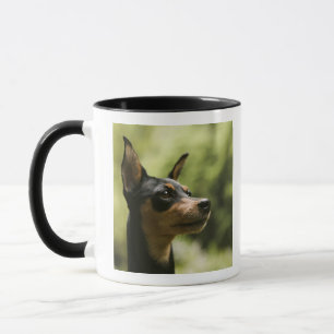 Zwergpinscher (Minute-Button) 2 Tasse