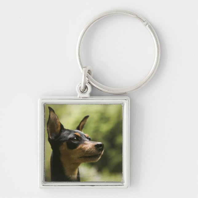 Zwergpinscher (Minute-Button) Schlüsselanhänger (Vorne)