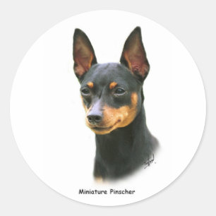 Zwergpinscher Runder Aufkleber