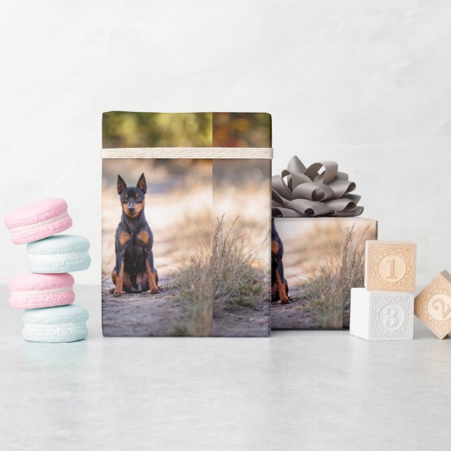 Zwergpinscher sitzend geschenkpapier (Babyparty)