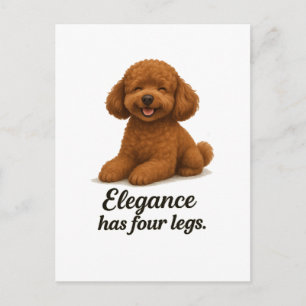 Zwergpudel � Eleganz hat vier Beine Postkarte