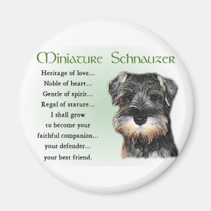 Zwergschnauzer-Geschenke Magnet
