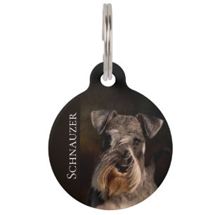 Zwergschnauzer Haustiermarke