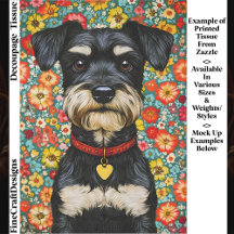 Zwergschnauzer Hund, Bunt EX2 Decoupage