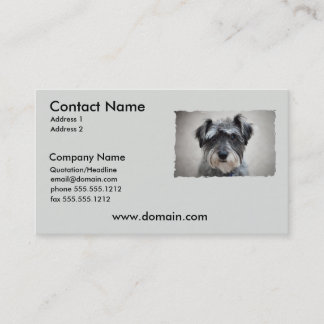 Zwergschnauzer-HundeVisitenkarte Visitenkarte