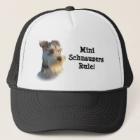 Zwergschnauzer-Hut