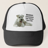 Zwergschnauzer-Hut