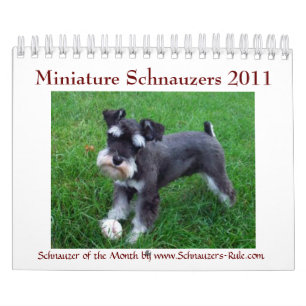 Zwergschnauzer-Kalender 2016 Kalender
