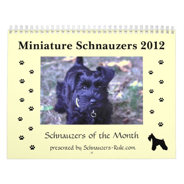 Zwergschnauzer-Kalender Kalender (Titelbild)