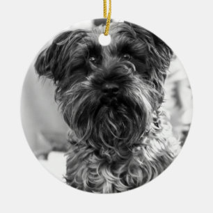 Zwergschnauzer Keramik Ornament