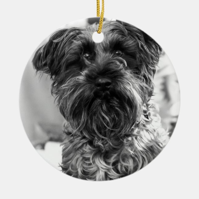 Zwergschnauzer Keramik Ornament (Vorne)