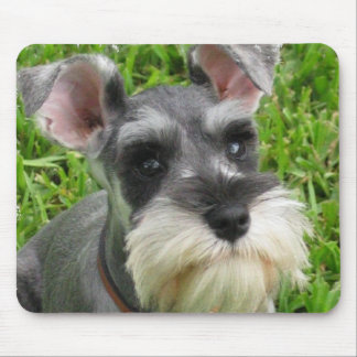 Zwergschnauzer-Mausunterlage Mousepad