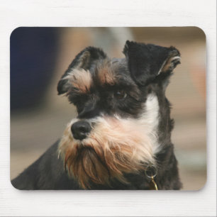 Zwergschnauzer Mousepad