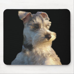Zwergschnauzer Mousepad