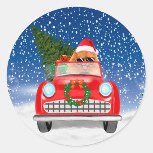 Zwergspitz fährt Auto im Schnee Weihnachten Runder Aufkleber