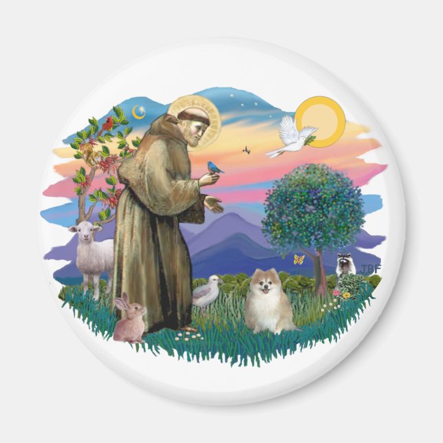 Zwergspitz (Fohlen) Magnet (Vorne)