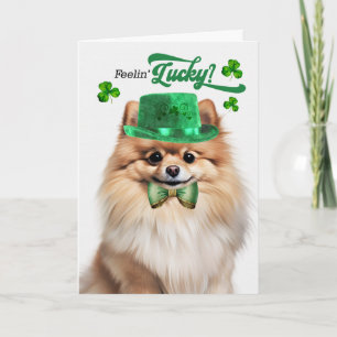 Zwergspitz Hund fühlt sich am St. Patrick's Day gl Feiertagskarte
