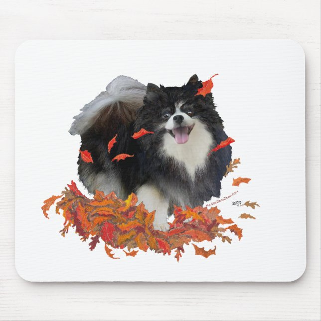 Zwergspitz im Herbst Mousepad (Vorne)