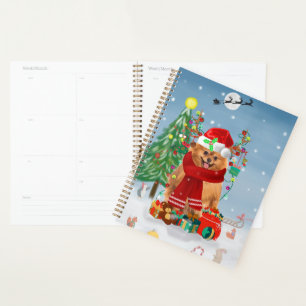 Zwergspitz mit Weihnachtsgeschenken   Planer