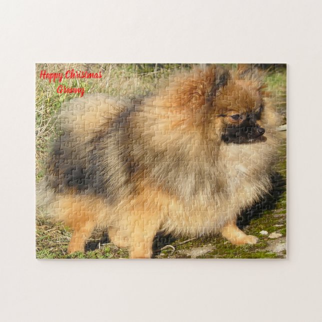 Zwergspitz. Puzzle (Horizontal)