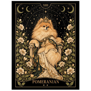 Zwergspitz, Sternenklares Tarot-Kunstwerk Postkarte