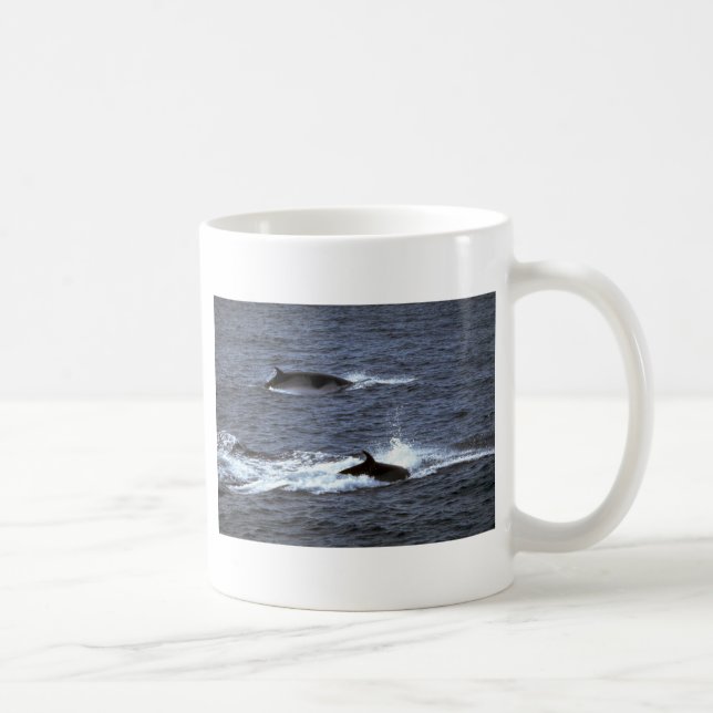 Zwergwal Kaffeetasse (Rechts)