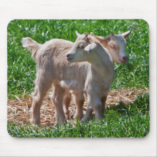 Zwergziegen-Kinder-Mauspad Mousepad