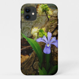 Zwergzwerg Iris lila weiße Blume iPhone 11 Hülle