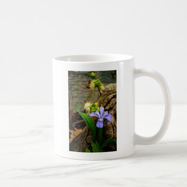 Zwergzwerg Iris lila weiße Blume Kaffeetasse (Rechts)