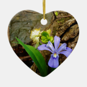 Zwergzwerg Iris lila weiße Blume Keramik Ornament