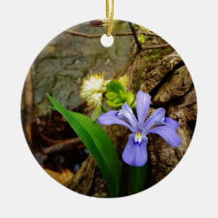Zwergzwerg Iris lila weiße Blume Keramikornament