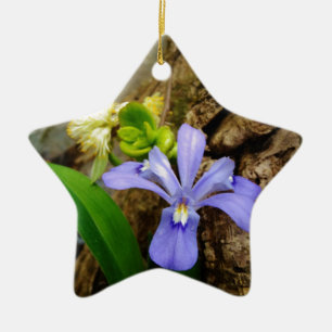 Zwergzwerg Iris lila weiße Blume Keramikornament