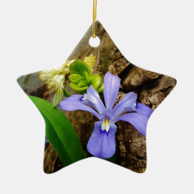 Zwergzwerg Iris lila weiße Blume Keramikornament (Vorne)
