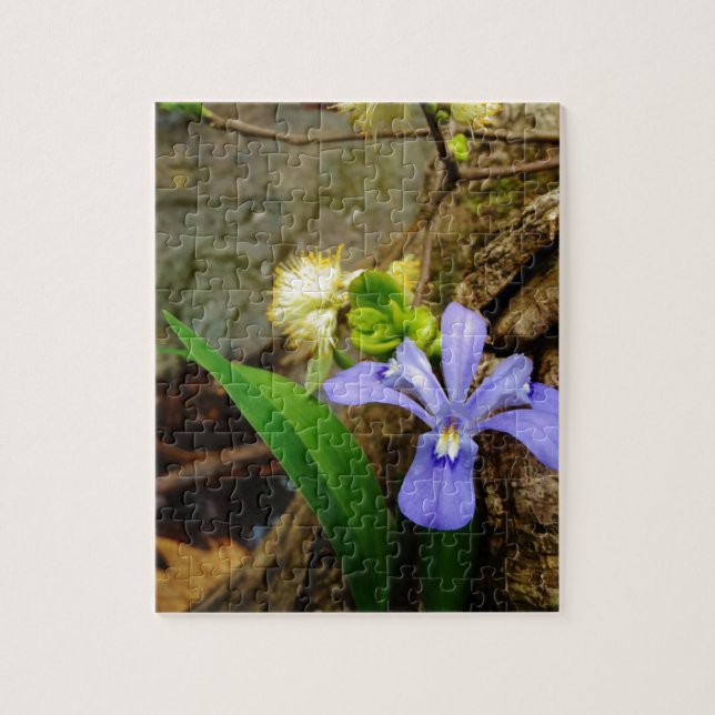 Zwergzwerg Iris lila weiße Blume Puzzle (Vertikal)