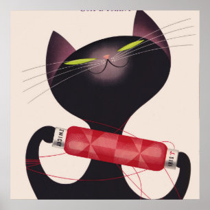 Zwicky Cat Poster von Donald Brun