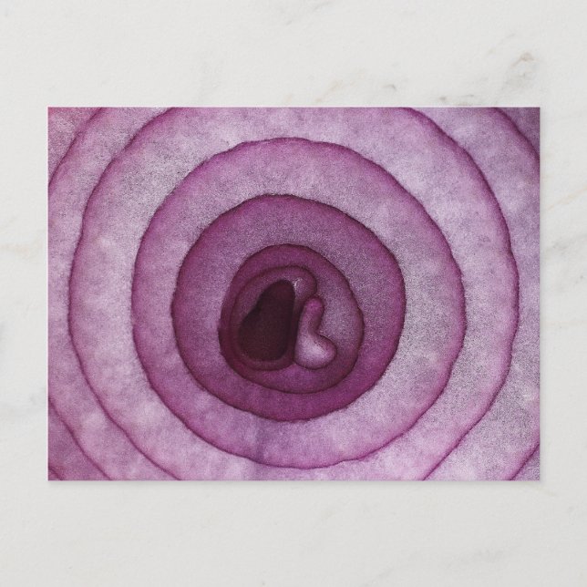 Zwiebel Postkarte (Vorderseite)