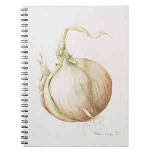 Zwiebel-Studie 1993 Notizblock