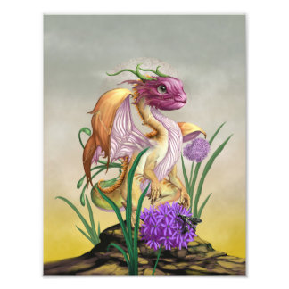 Zwiebeldrache 8.5x11 Print Fotodruck