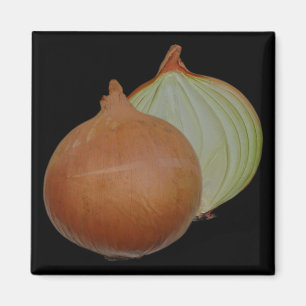 Zwiebelmagnet Magnet