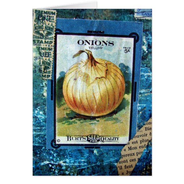 Zwiebeln fünf Cent-Collage (Vorne)