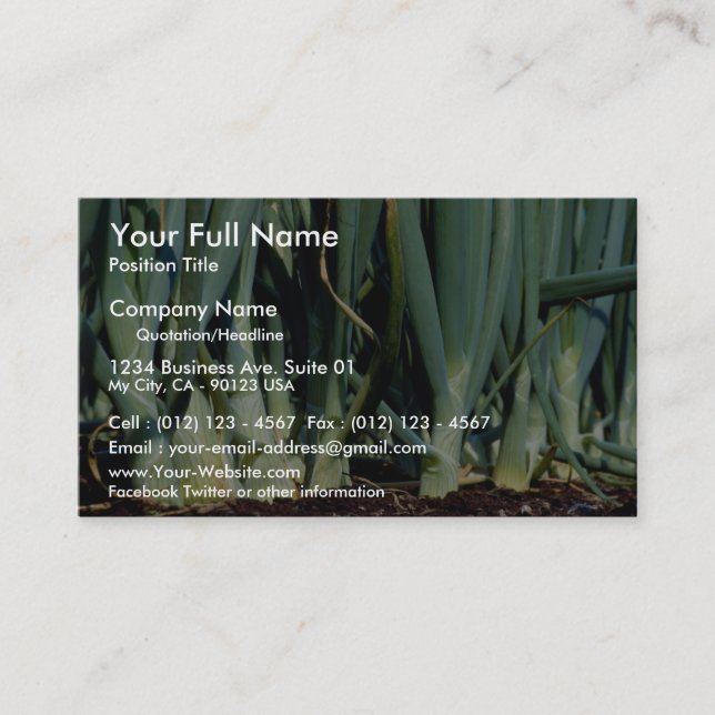 Zwiebeln, großartige Biegung, Ontario, Kanada Visitenkarte (Vorderseite)