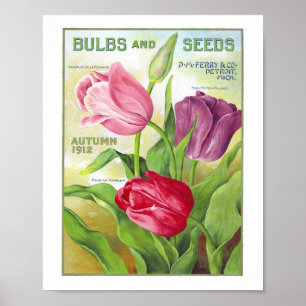 Zwiebeln und Samen 1912 Poster