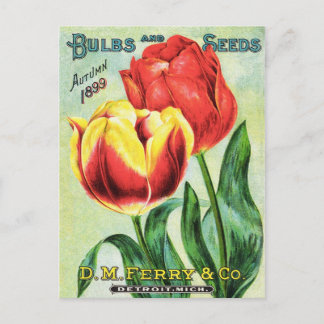 Zwiebeln und Samen Rote und Gelbe Tulpe Postkarte