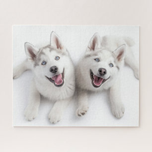 Zwilling-Husky Puzzle