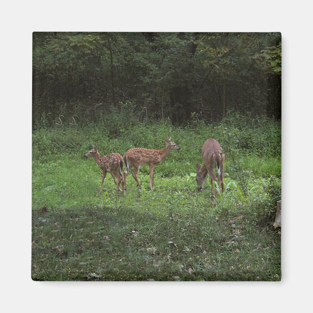 Zwillinge und ihre Mutter Magnet (Vorne)