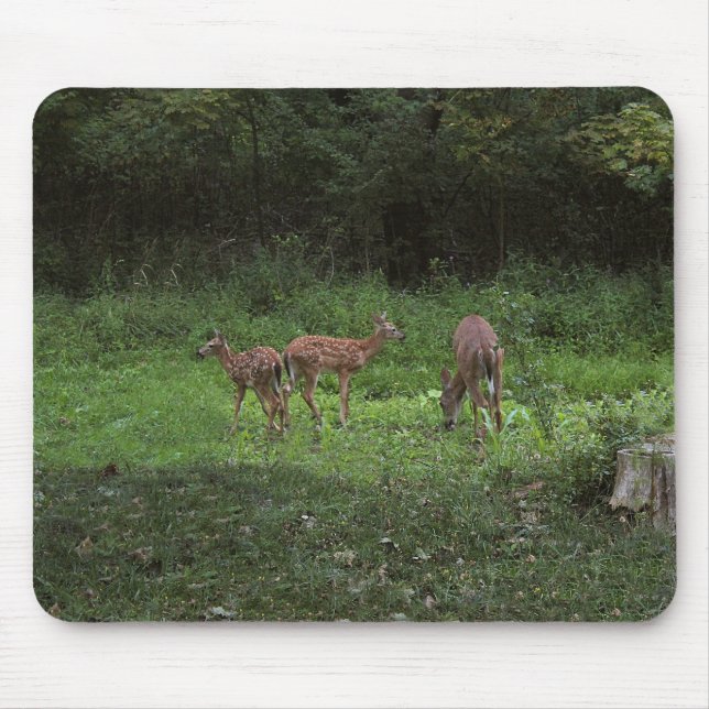 Zwillinge und ihre Mutter Mousepad (Vorne)