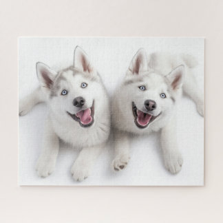 ZwillingHuskies Puzzle
