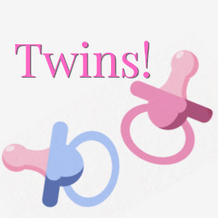 ZWILLINGS-BABYPARTY MIT ROSA & BLAUEM SAUGER EINLADUNG